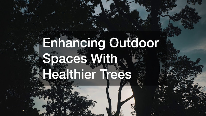 Enhancing Outdoor Spaces With Healthier Trees