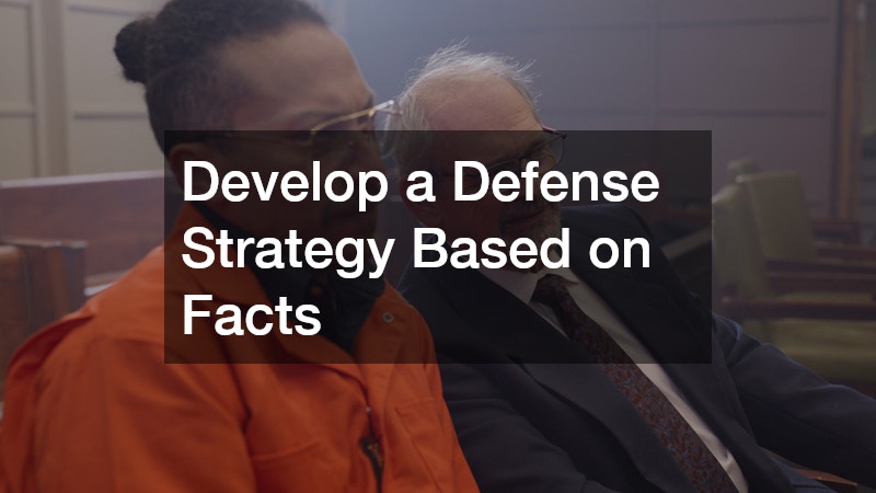 Develop a Defense Strategy Based on Facts