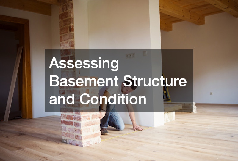 Assessing Basement Structure and Condition