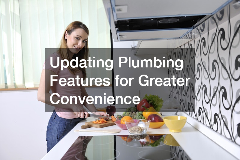 Updating Plumbing Features for Greater Convenience