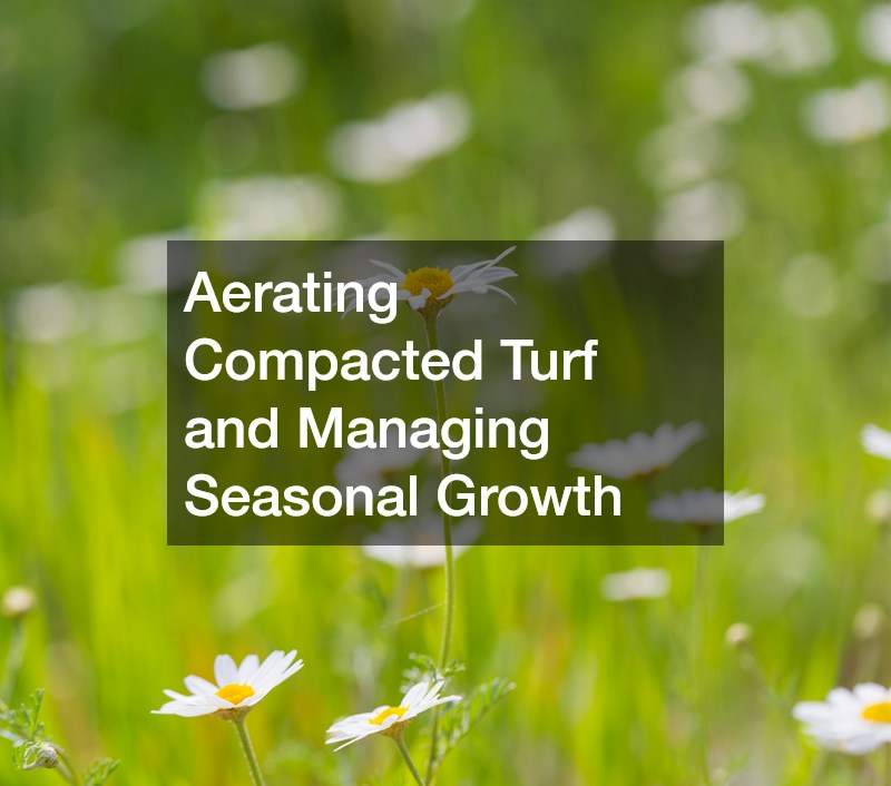 Aerating Compacted Turf and Managing Seasonal Growth