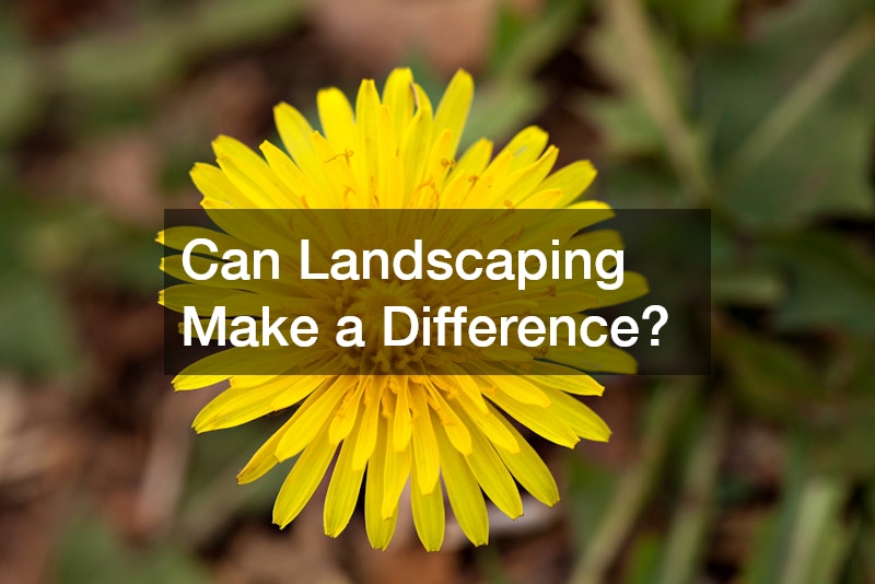 Can Landscaping Make a Difference?