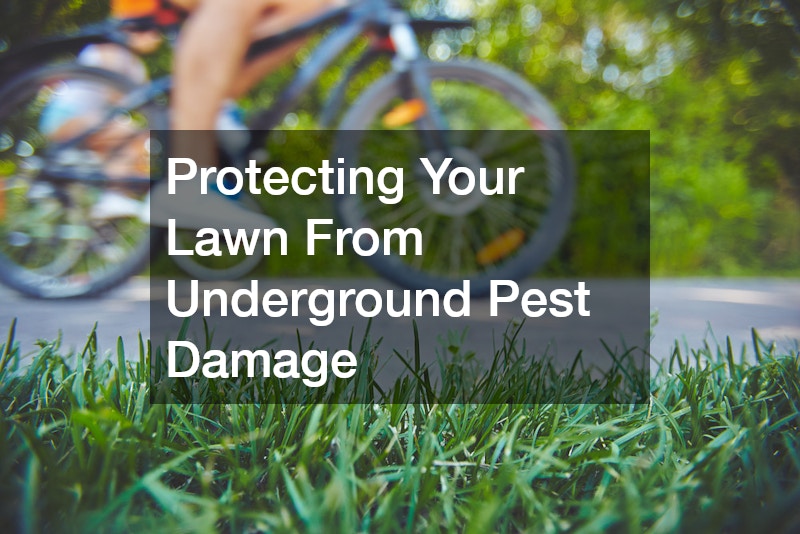 Protecting Your Lawn From Underground Pest Damage