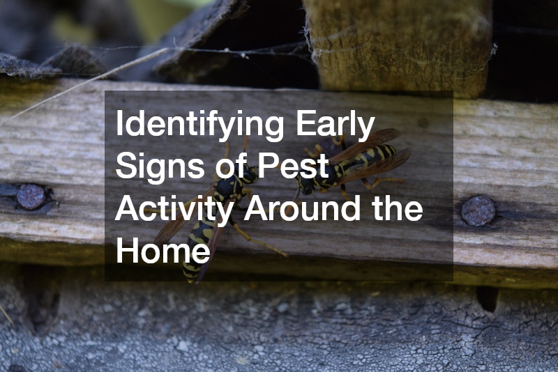 Identifying Early Signs of Pest Activity Around the Home