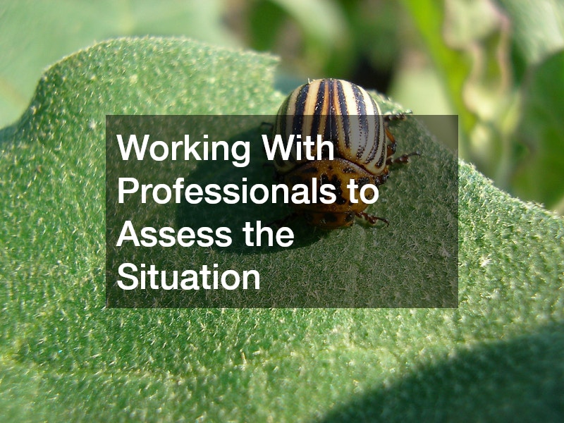 Working With Professionals to Assess the Situation