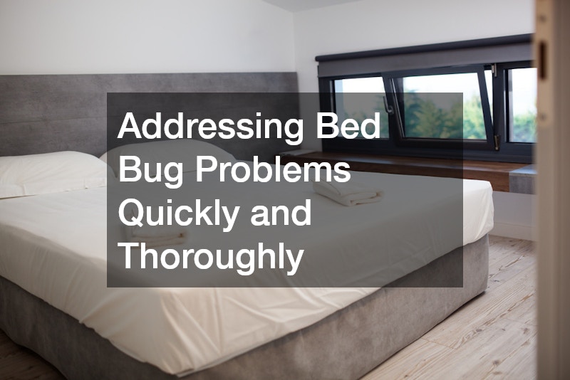 Addressing Bed Bug Problems Quickly and Thoroughly