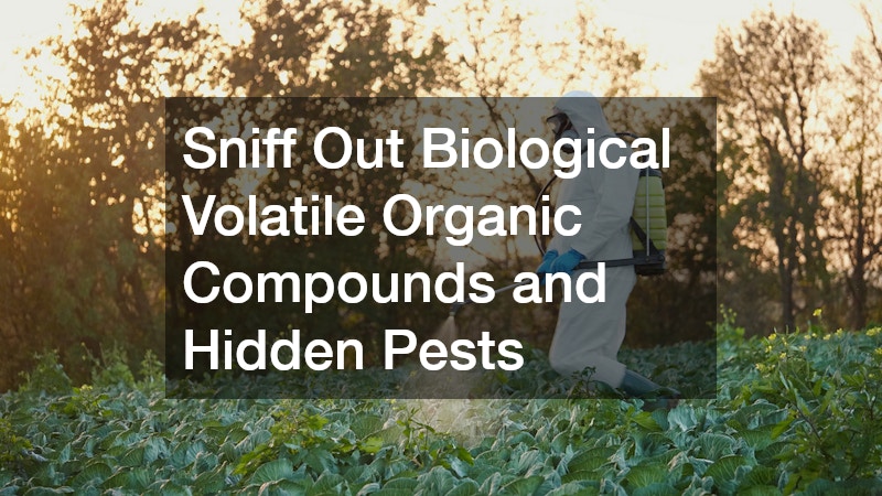 Sniff Out Biological Volatile Organic Compounds and Hidden Pests