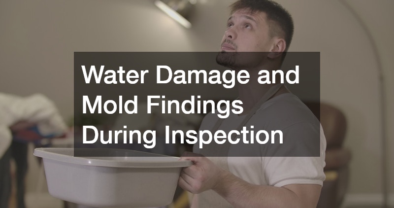 Water Damage and Mold Findings During Inspection