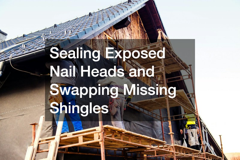 Sealing Exposed Nail Heads and Swapping Missing Shingles