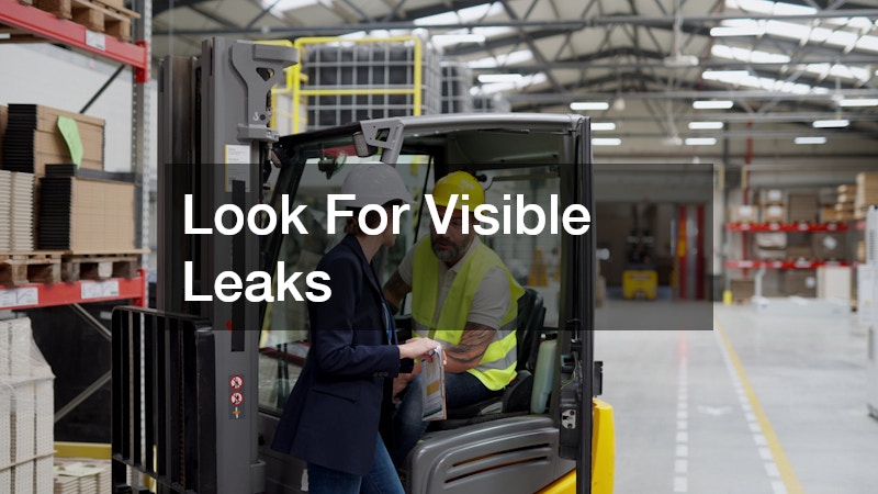 Look For Visible Leaks