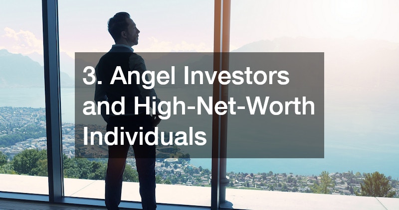 3. Angel Investors and High-Net-Worth Individuals