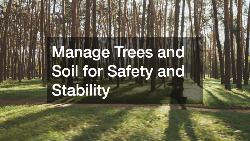 Manage Trees and Soil for Safety and Stability