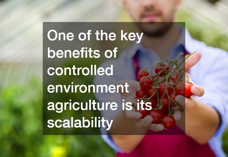 One of the key benefits of controlled environment agriculture is its scalability