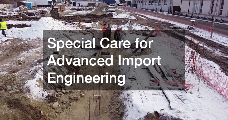 Special Care for Advanced Import Engineering
