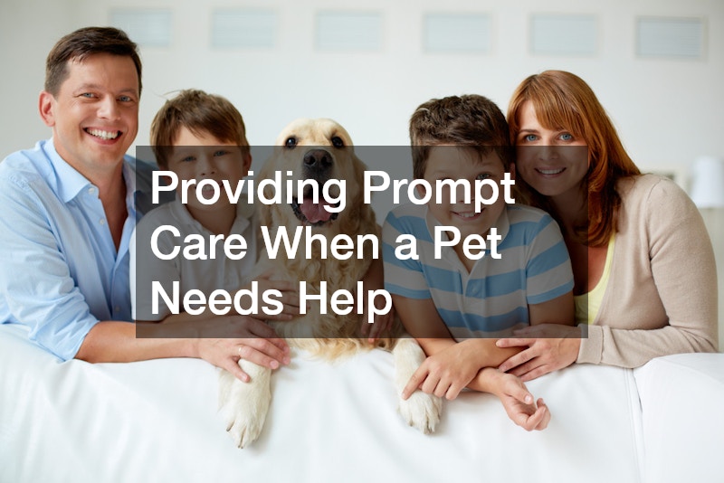 Providing Prompt Care When a Pet Needs Help