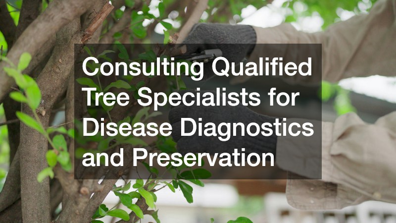 Consulting Qualified Tree Specialists for Disease Diagnostics and Preservation