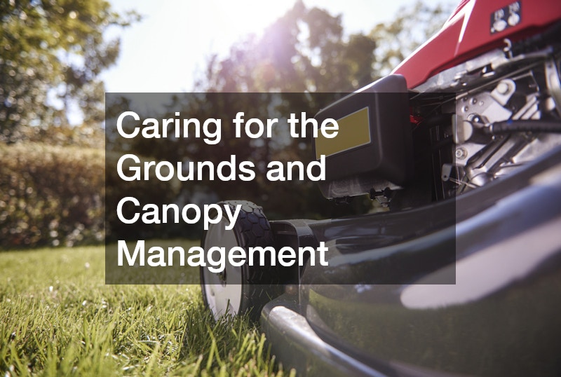 Caring for the Grounds and Canopy Management