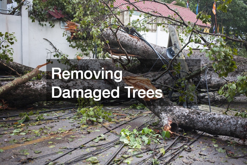 Removing Damaged Trees