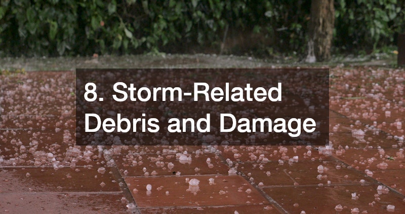 8. Storm-Related Debris and Damage