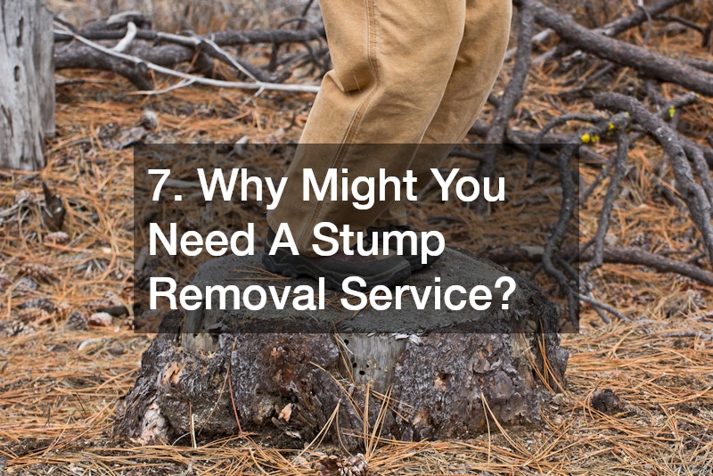 7. Why Might You Need A Stump Removal Service?