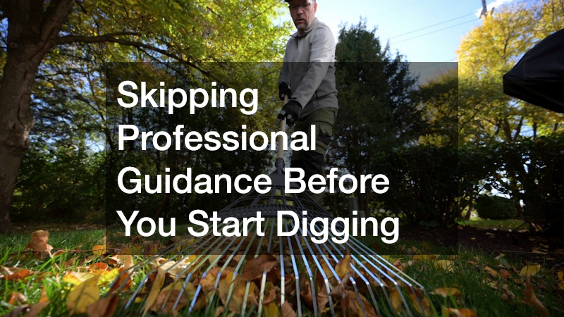 Skipping Professional Guidance Before You Start Digging