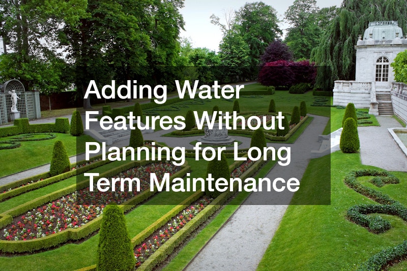Adding Water Features Without Planning for Long Term Maintenance