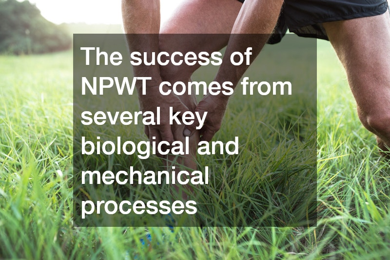 The success of NPWT comes from several key biological and mechanical processes