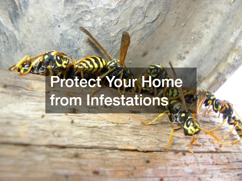 Protect Your Home from Infestations