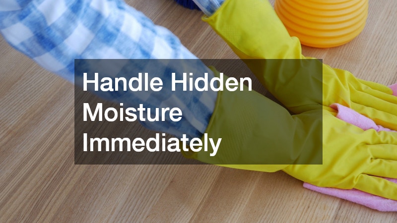 Handle Hidden Moisture Immediately