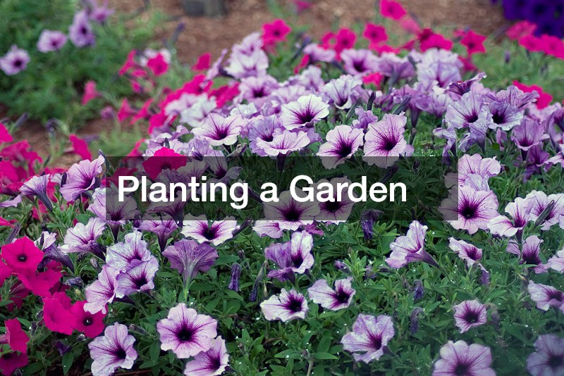 Planting a Garden