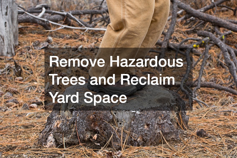 Remove Hazardous Trees and Reclaim Yard Space