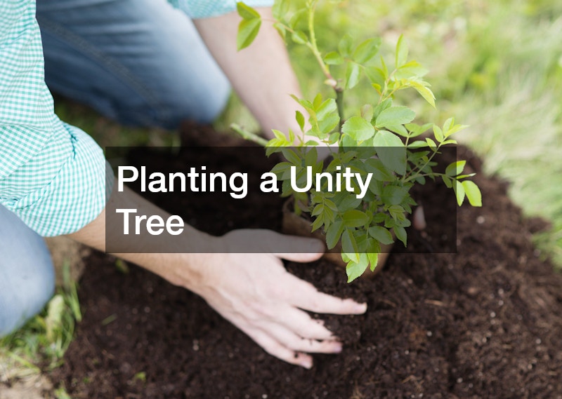 Planting a Unity Tree