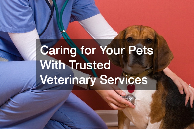 Caring for Your Pets With Trusted Veterinary Services