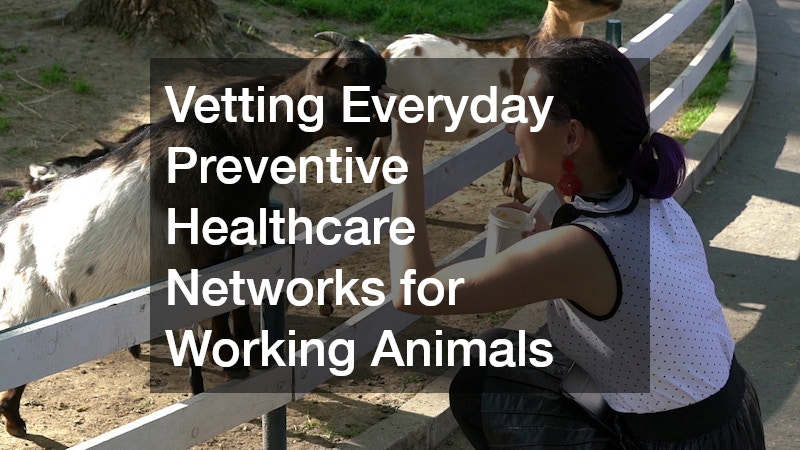 Vetting Everyday Preventive Healthcare Networks for Working Animals