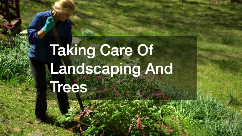 Taking Care Of Landscaping And Trees