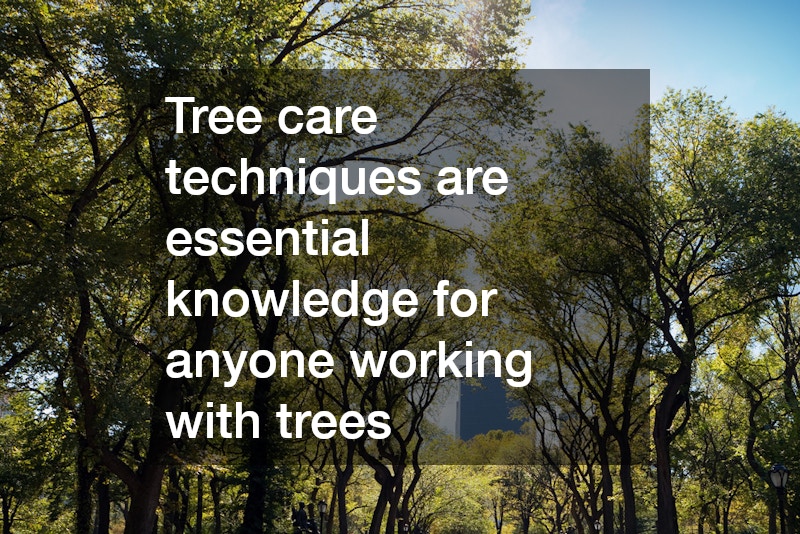 Tree care techniques are essential knowledge for anyone working with trees