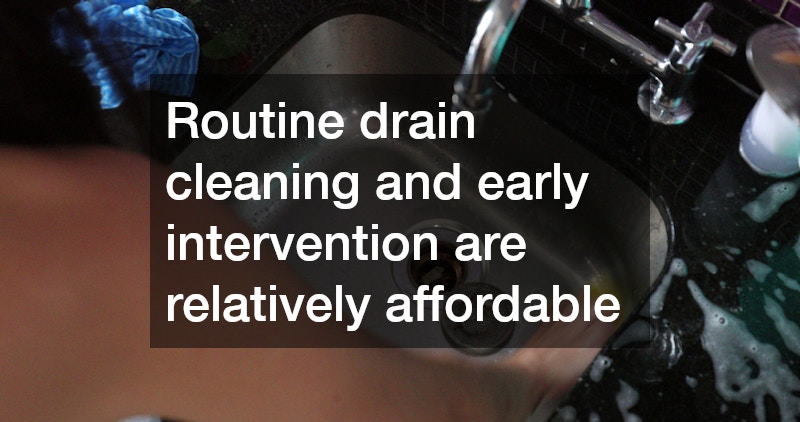 Routine drain cleaning and early intervention are relatively affordable