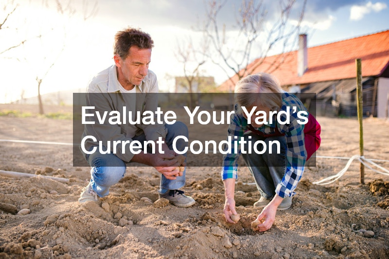 Evaluate Your Yard’s Current Condition