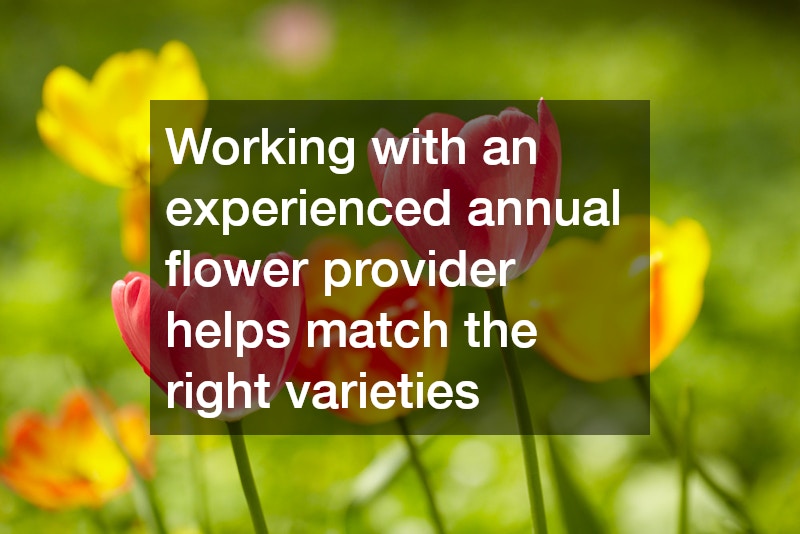 Working with an experienced annual flower provider helps match the right varieties