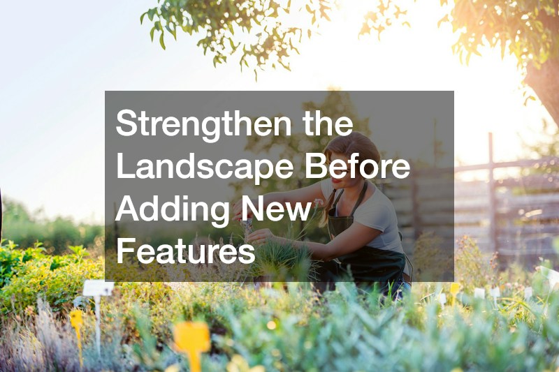 Strengthen the Landscape Before Adding New Features