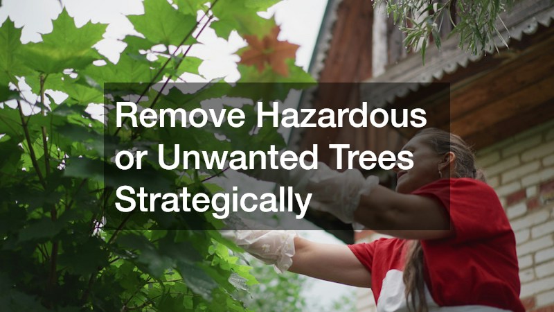 Remove Hazardous or Unwanted Trees Strategically