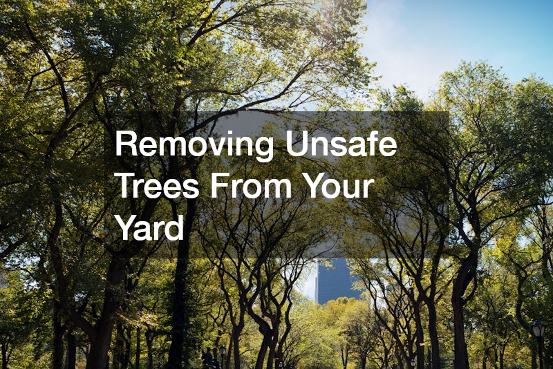 Removing Unsafe Trees From Your Yard