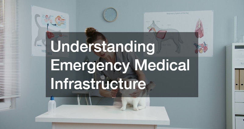 Understanding Emergency Medical Infrastructure