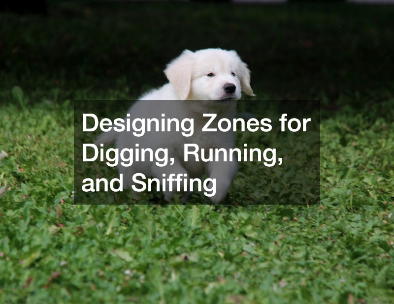 Designing Zones for Digging, Running, and Sniffing