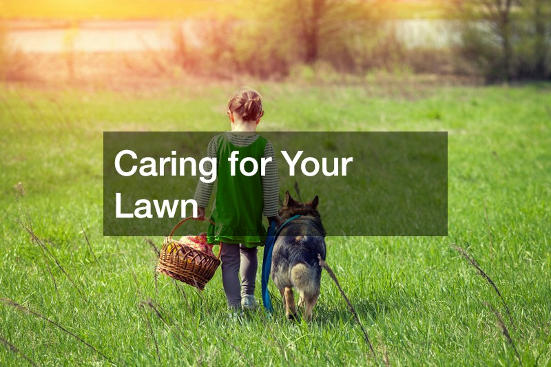 Caring for Your Lawn