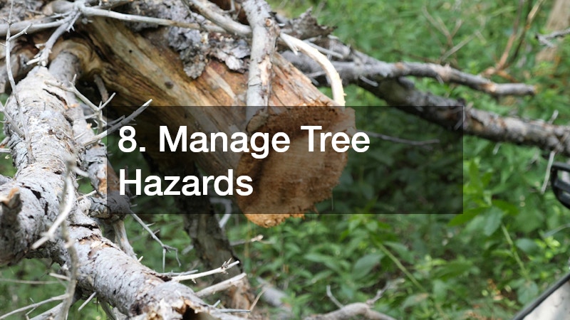 8. Manage Tree Hazards