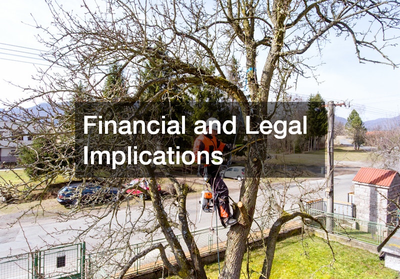 Financial and Legal Implications