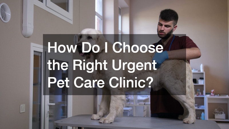 How Do I Choose the Right Urgent Pet Care Clinic?