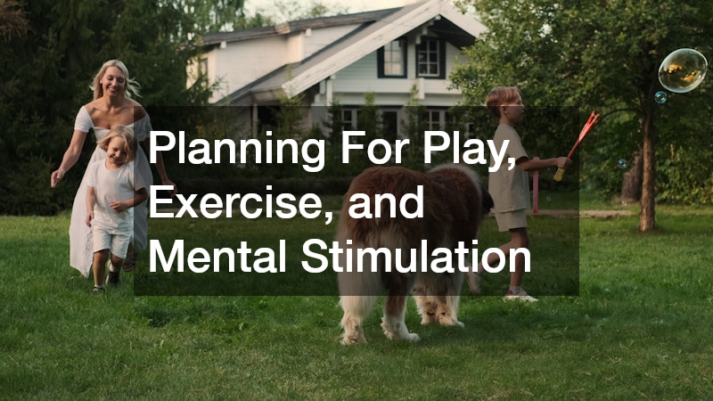 Planning For Play, Exercise, and Mental Stimulation
