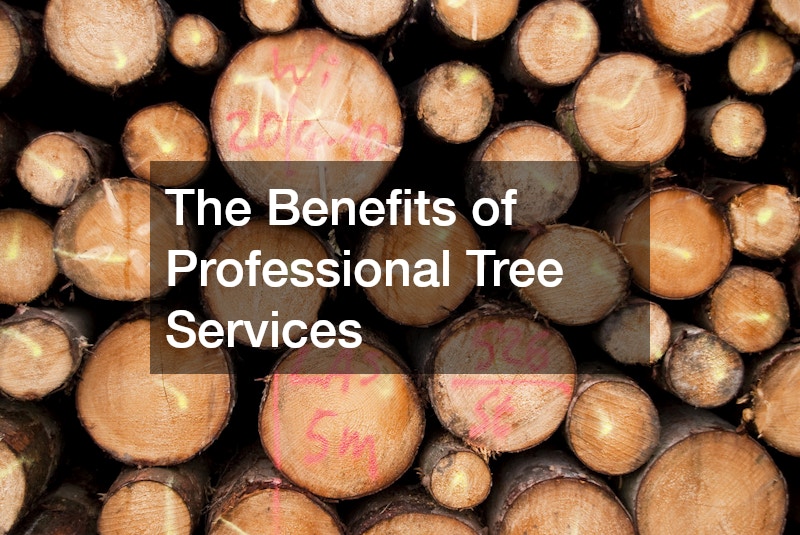 The Benefits of Professional Tree Services